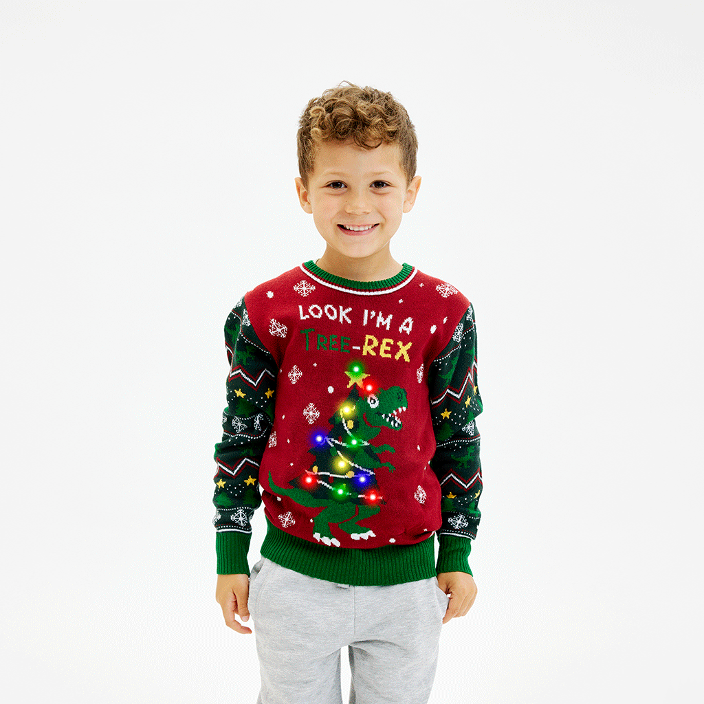 The Tree-REX Sweater - Kinderen
